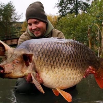crapi - 1360294189hogcarp.jpg
